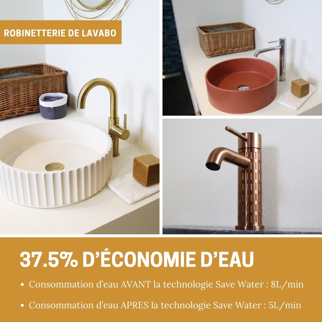 _cologie_lavabo_1